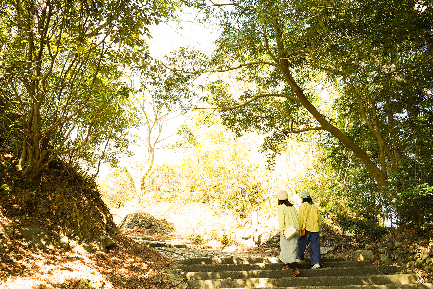 鳥羽山公園 石段